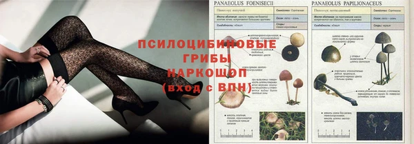 эйфоретик Армянск