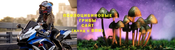гидра Алзамай