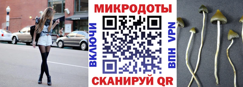 Галлюциногенные грибы Psilocybine cubensis  сколько стоит  Аша 